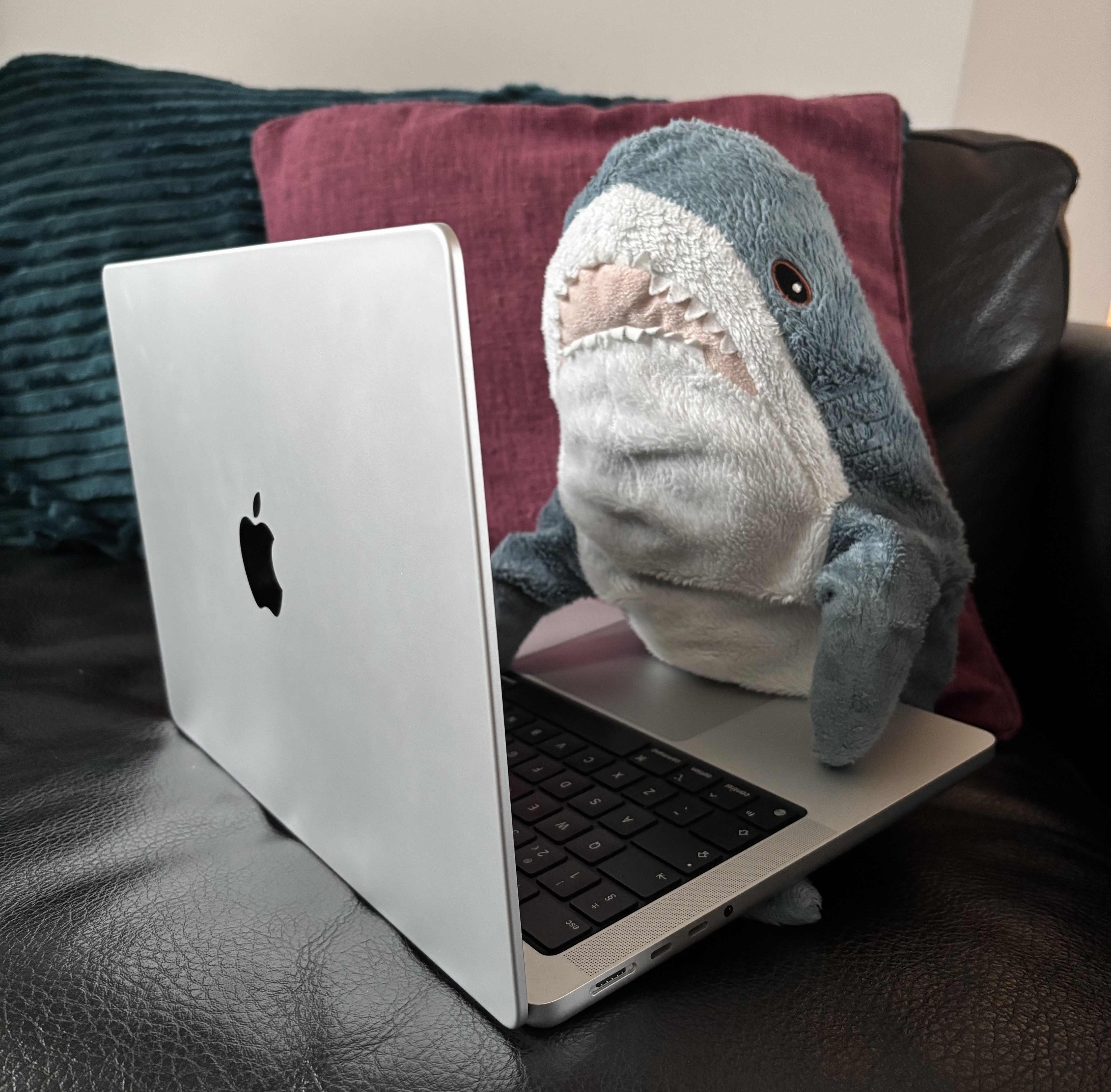 Macbook M1 Pro